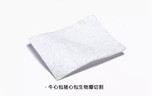 生物瓣膜（牛心包膜，豬心包膜）激光切割機